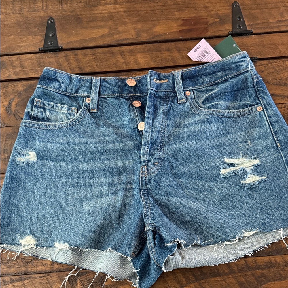 Wild Fable Blue Distressed Jean Shorts